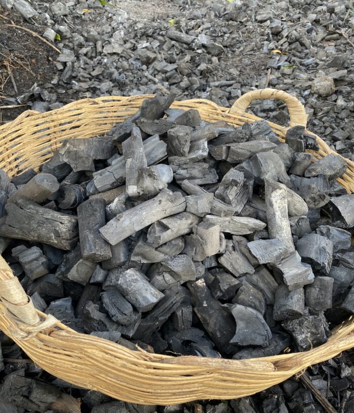 charbon de bois
