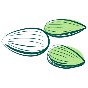 Semences