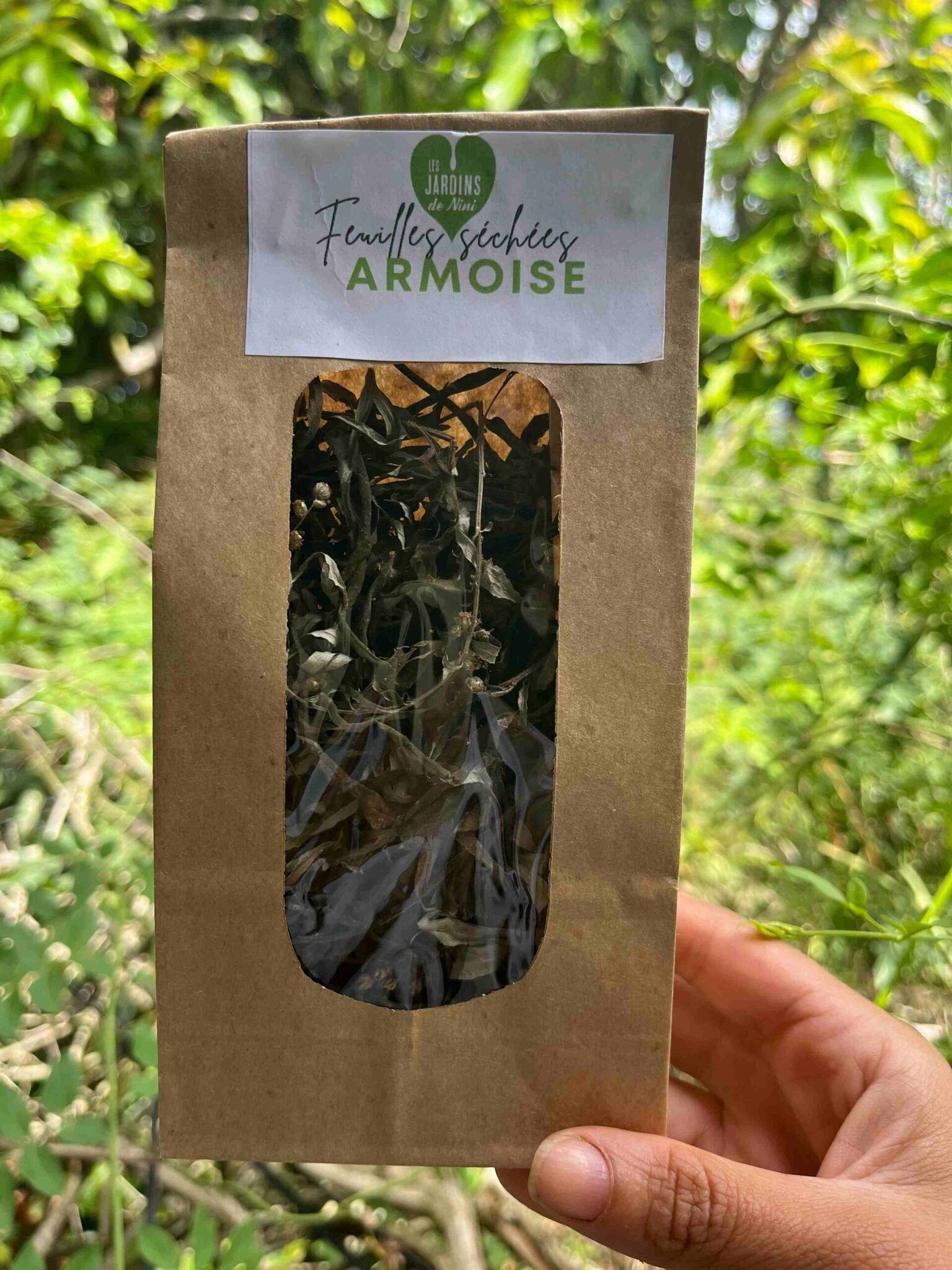 armoise annuelle bio - LA SOCIÉTÉ DES PLANTES