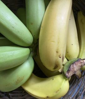 banane makanja
