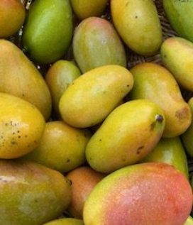 mango carotte