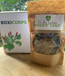 BOXICORPS