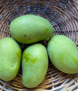 Mango vert